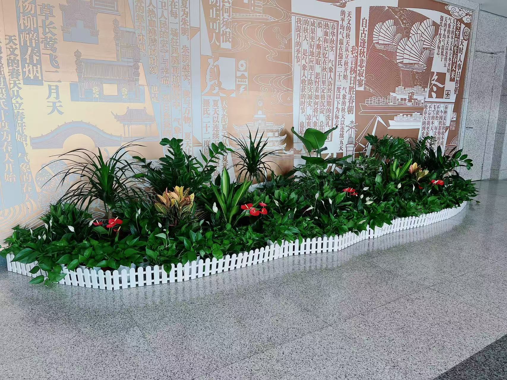 花卉租赁就选余姚花木租摆公司，超省心